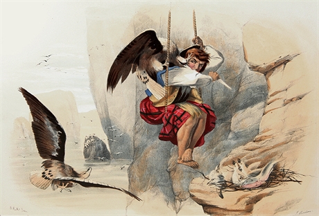 Picture of 17 - Robbing an Eagle's Nest